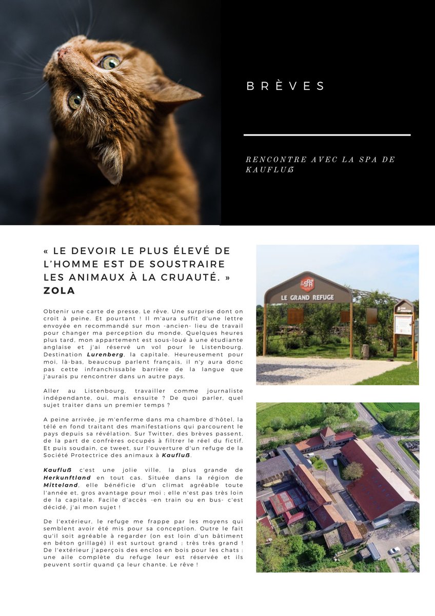 ✨ Crevette ✨ tweet media