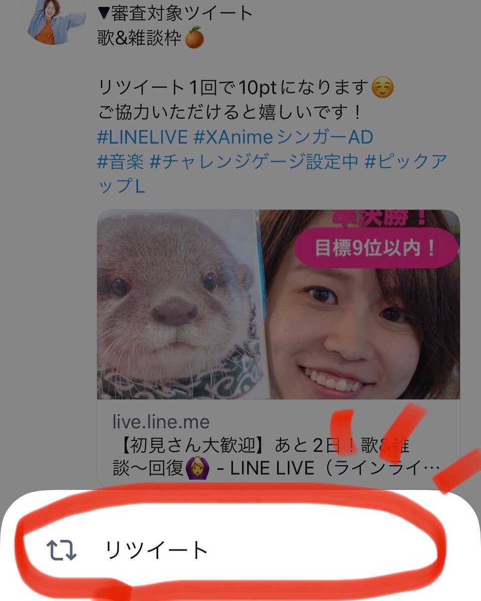 もろちゃん KIBM-766～771_rgb-735x1024.jpg