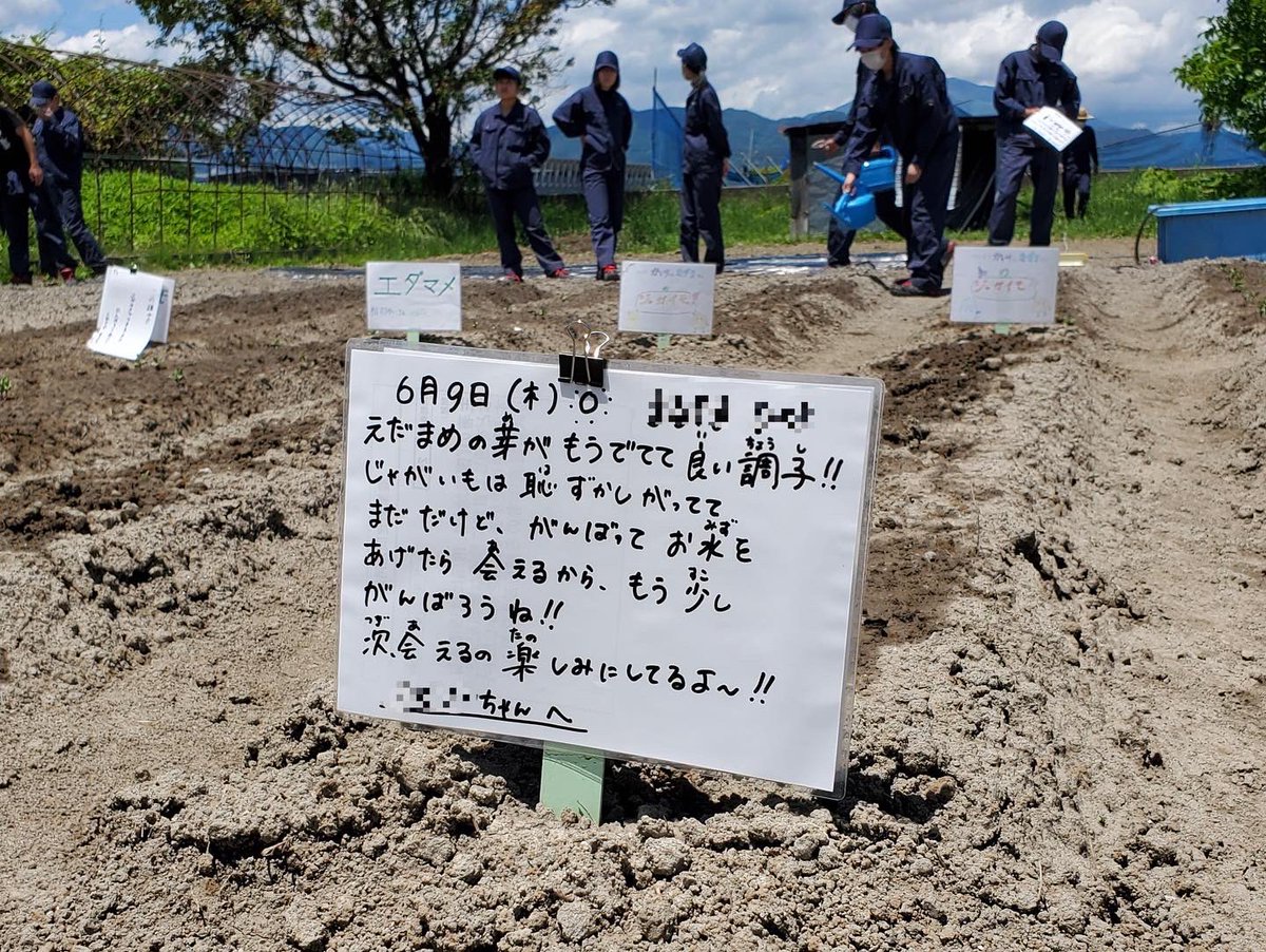 sarano_official's tweet photo. 11月5日(土) JAグリーン長野様と連携して行なっている「親子ふれあい農業塾」に、3年アグリネットワークコースの生徒が参加してきました！
農業塾では、年間を通してさまざまな作物の栽培や収穫体験を、地域の子どもたちと一緒に行なっています。 https://t.co/tDc3SidPSp