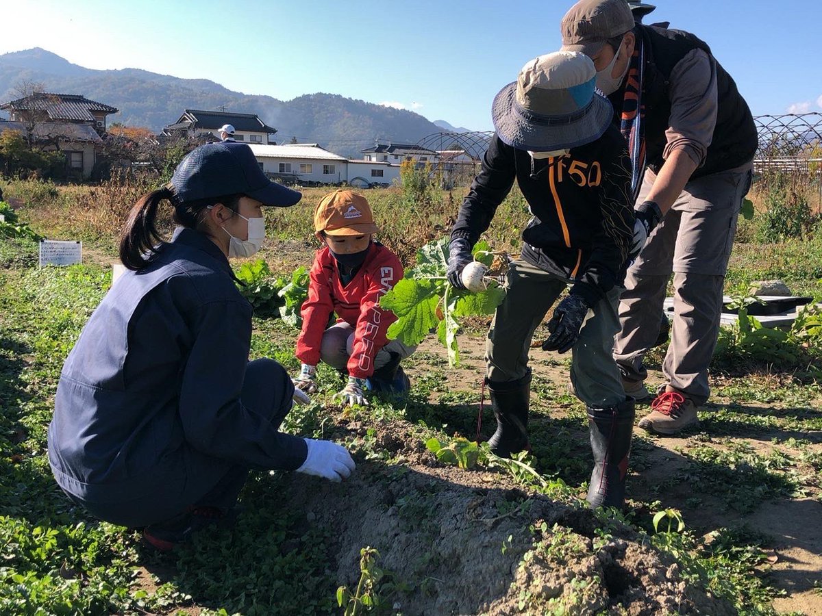 sarano_official's tweet photo. 11月5日(土) JAグリーン長野様と連携して行なっている「親子ふれあい農業塾」に、3年アグリネットワークコースの生徒が参加してきました！
農業塾では、年間を通してさまざまな作物の栽培や収穫体験を、地域の子どもたちと一緒に行なっています。 https://t.co/tDc3SidPSp