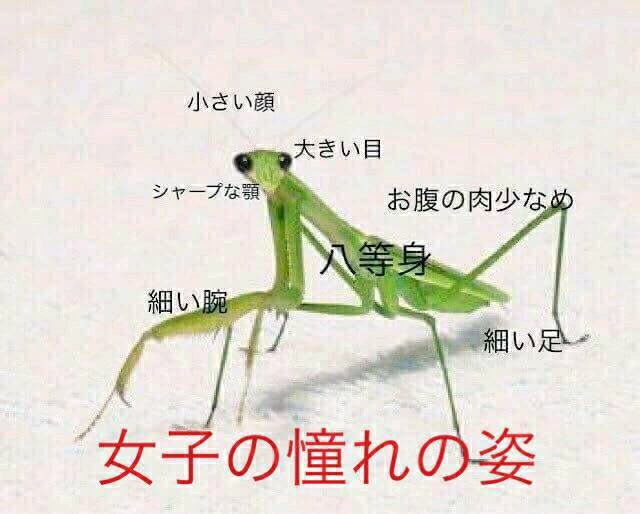 taka1031kishow's tweet photo. @etoriasan https://t.co/2heZk5tN5Z