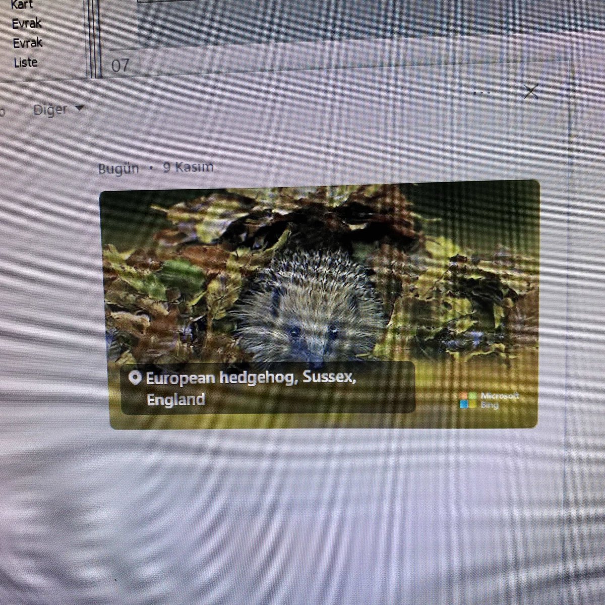 Günaydın güzellik 🥰😘🌺 <a href="/bedia_guzelce/">Bedia Ceylan Güzelce / wikibedia</a>  bak bugün bilgisayarıma kim konuk olmuş, akşama kadar birlikteyiz 🥰