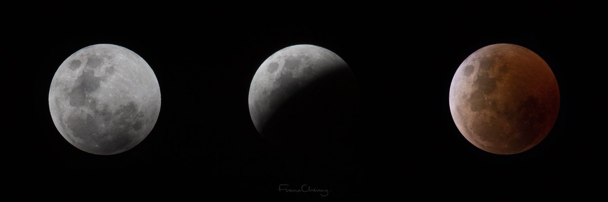 The Blood Moon and the lead-up as seen from Brisbane last night. #lunareclipse2022