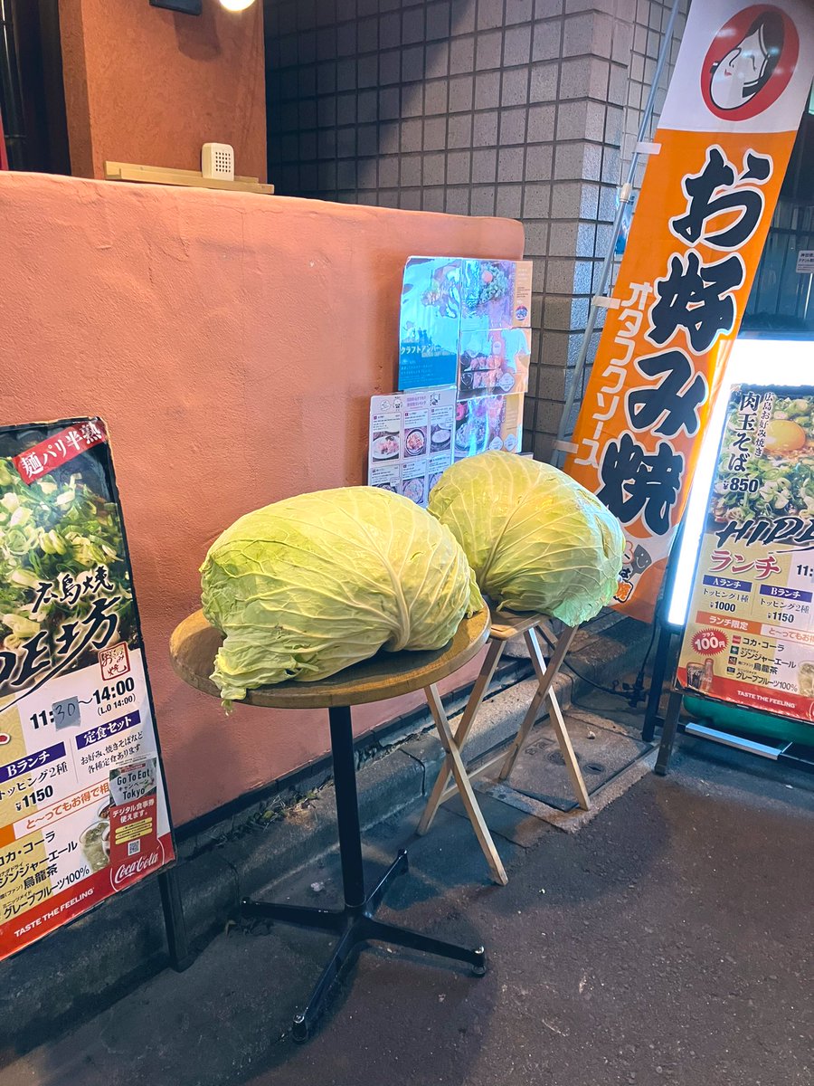 imahahahani's tweet photo. 最近、デカいキャベツに
エンカウントする。

#キャベツ https://t.co/lTFQNQx64o