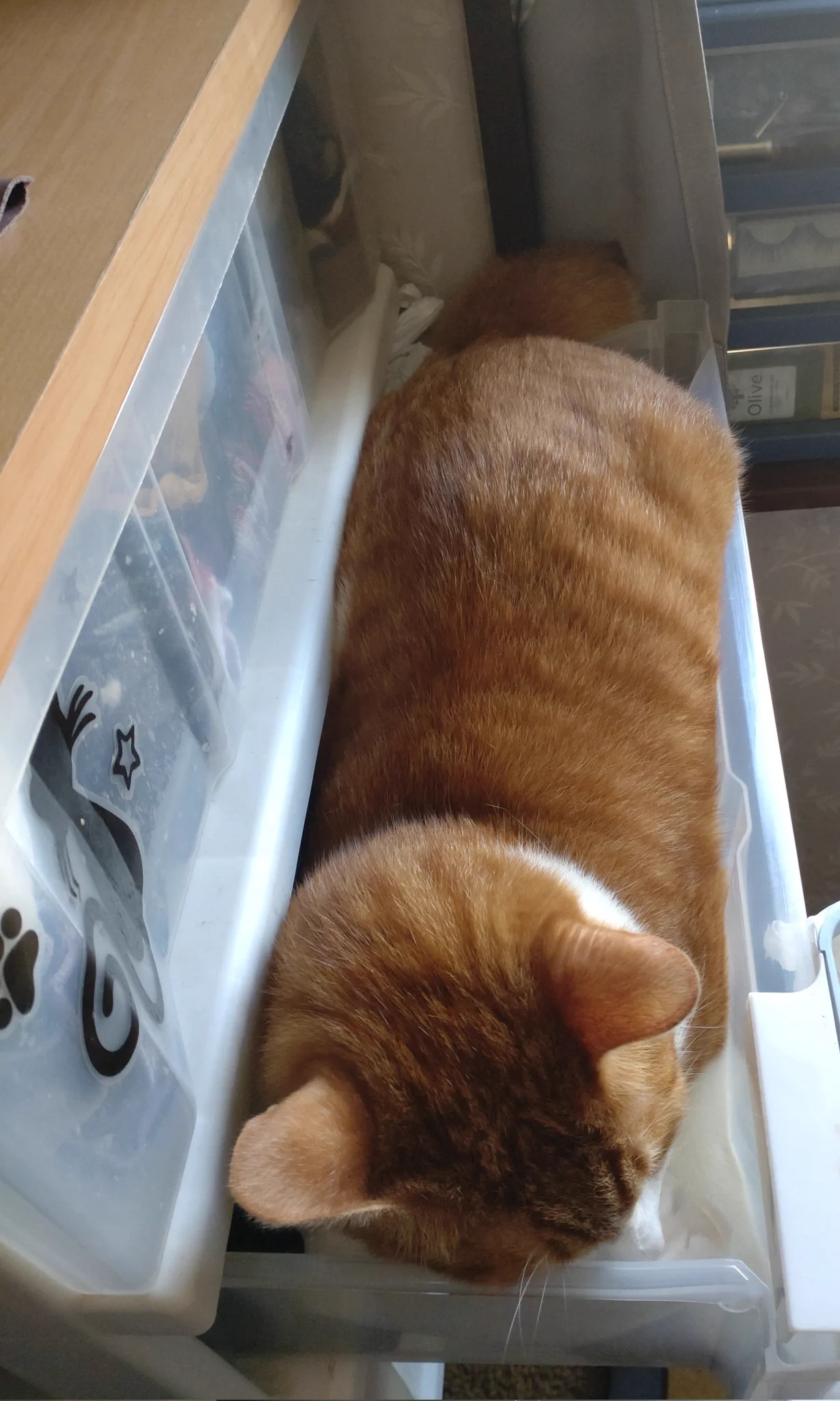 @gokayajin うちのパンです 