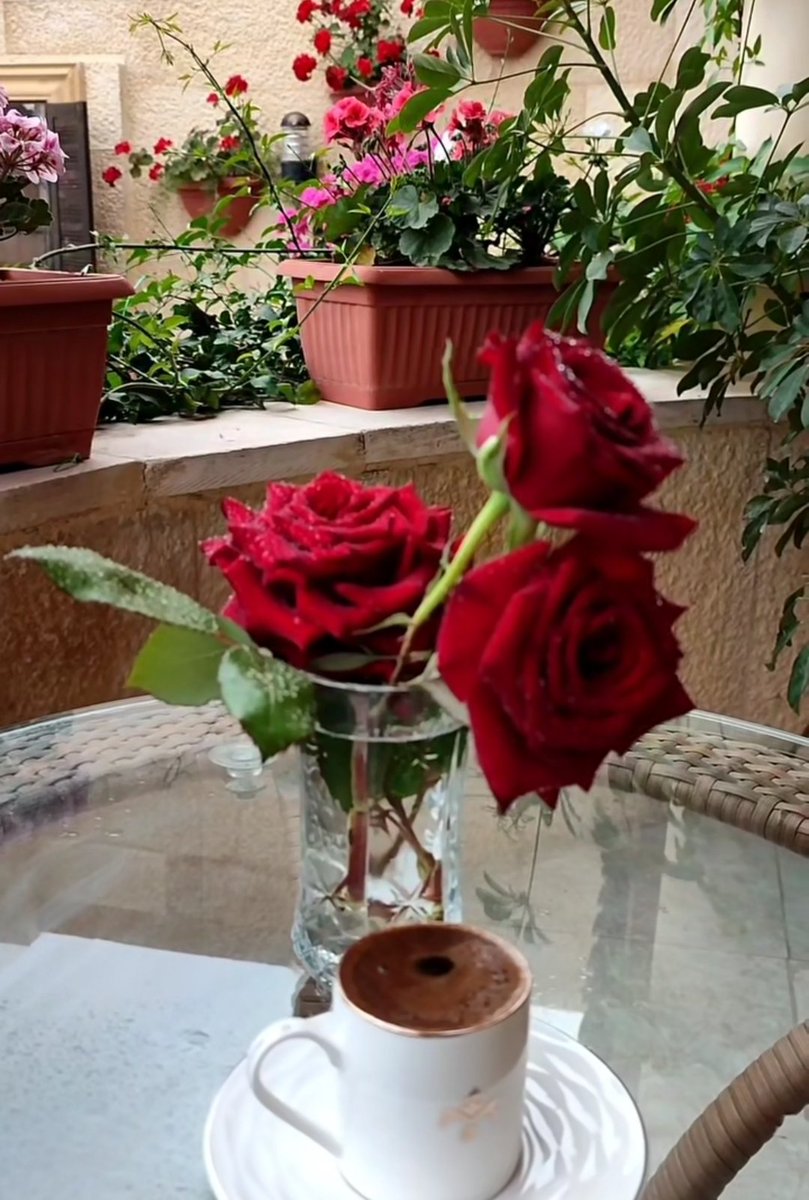❤️❤️
كلما رأيت كيف خُذل نبينايوسف من أقرب الناس له،وكانوا في ذلك سببًا لتتويجه ملكًاآمنت أن الرحيم يتبع توالي الخيبات والخذلان بأعظم الفرج والتيسيروالتمكين،وآمنت أن لحظات الفرح يمسح بهاالرحيم قلبك لتنسيك سنين الشقاءكأنهالم تحدث أبداً
آمنت أن التوكل يحقق المستحيل♥️
#صباح_الخير
َ