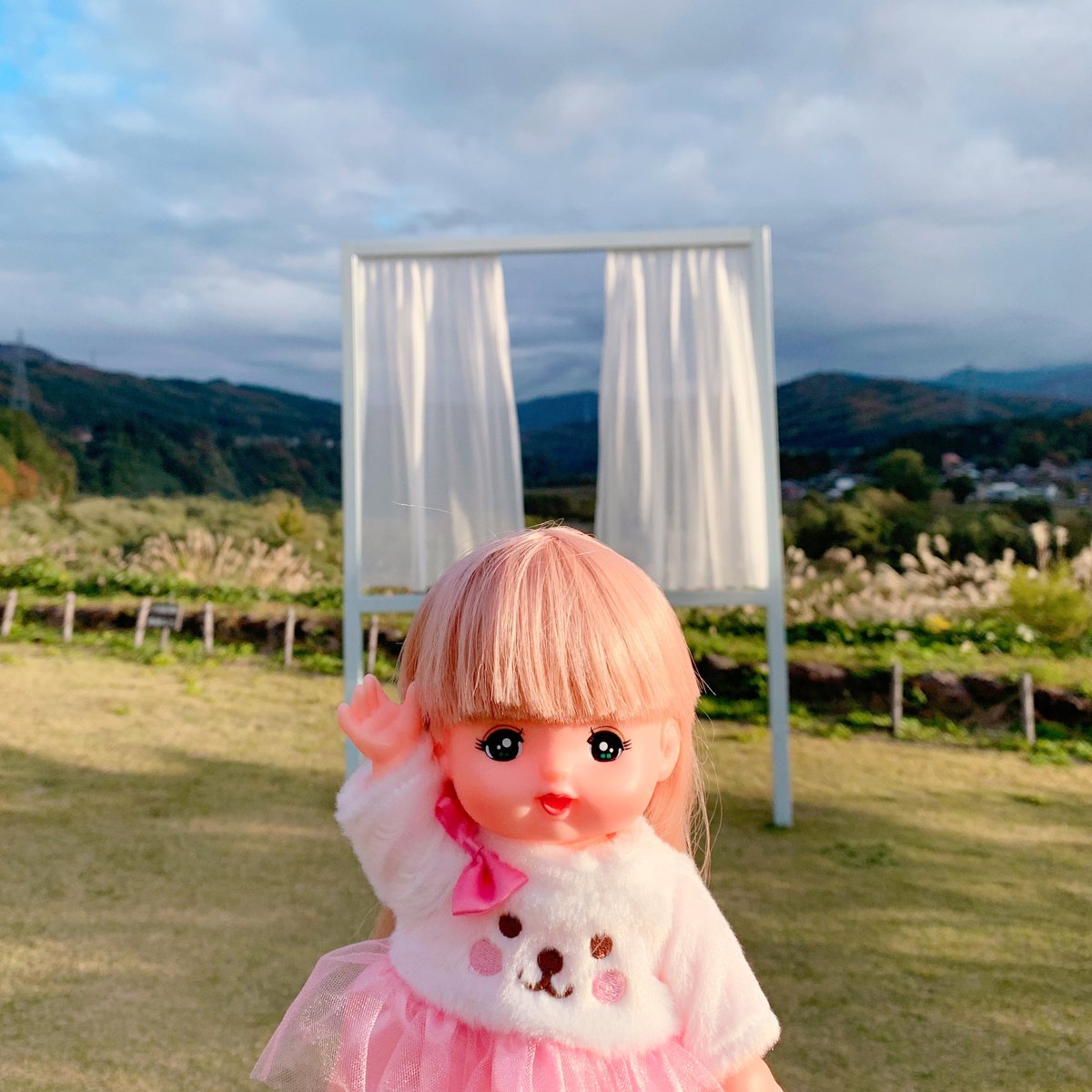 ✨おとちゃん✨ 乙葉 OTOHA (@otosan_inkcat) • Instagram photos and videos