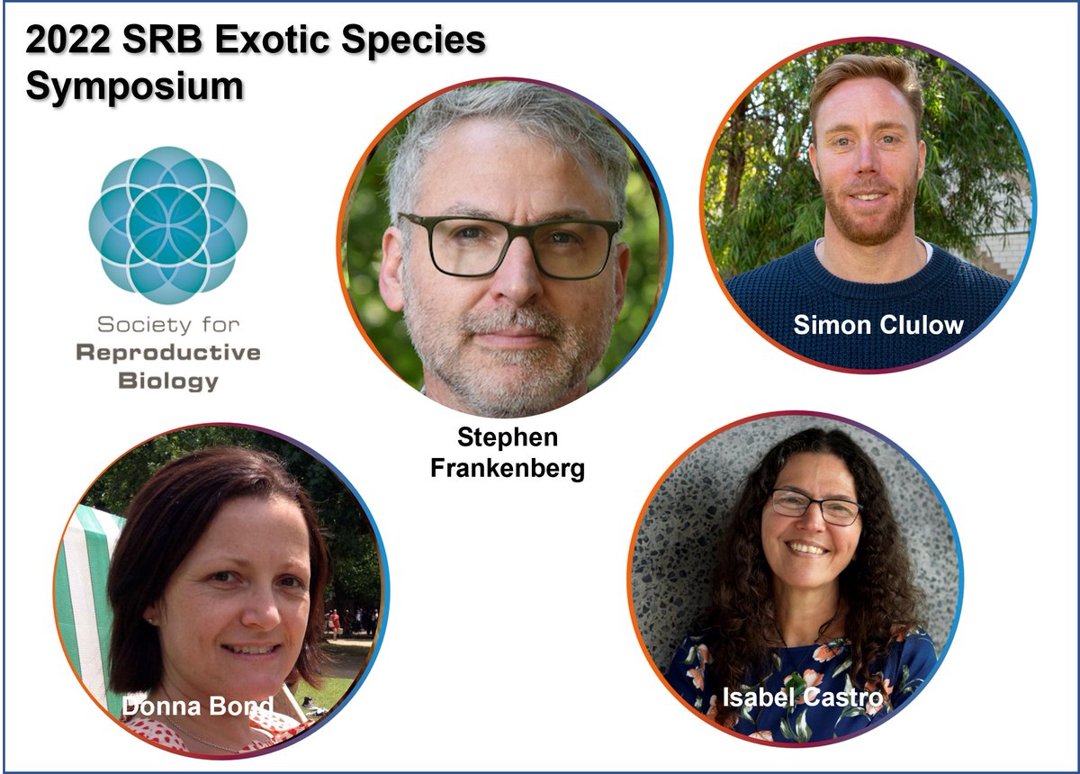 Just before the poster session on Day 2 at @ESASRB, don't miss this fascinating symposium on repro in exotic species. Kiwis, brush-tail possums, reptiles, amphibians, invasive pests - something for everyone!