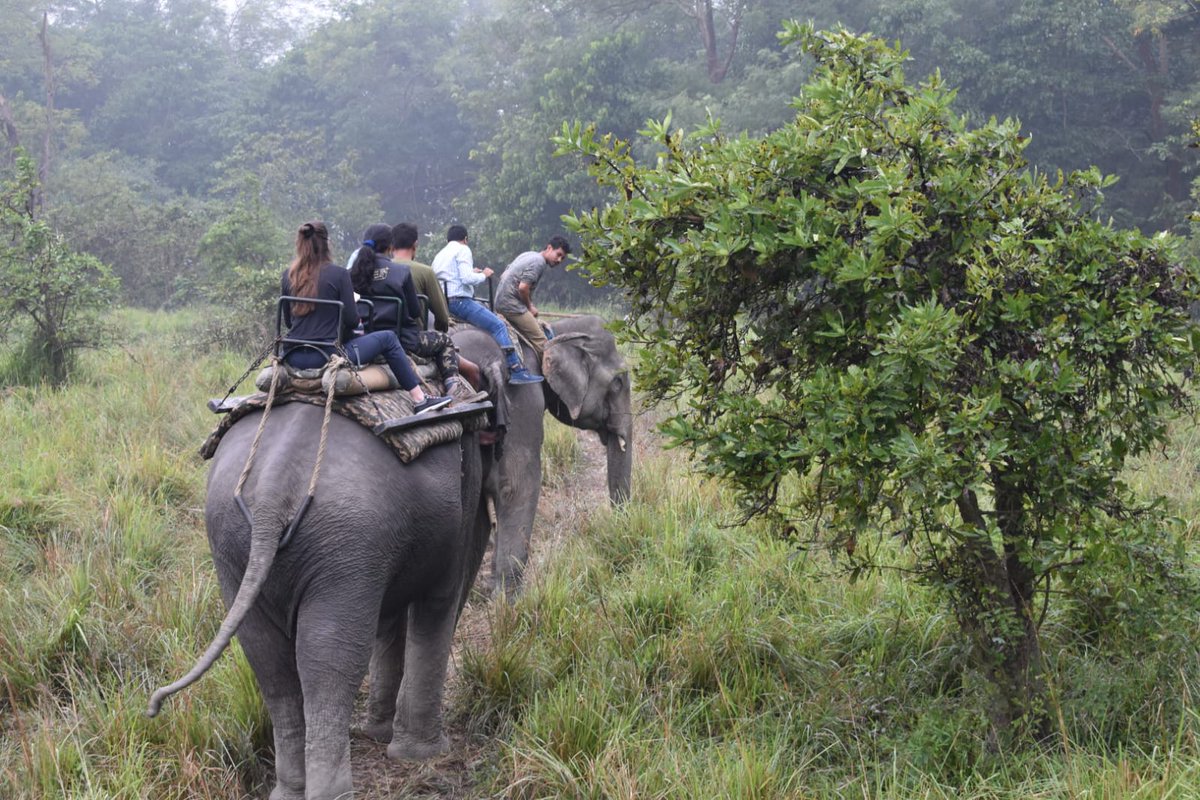 ApfbcA's tweet image. #Indopacific biodiversity partnership  - exposure visit commenced at #Pobitora. The ONFI team understands the aspect of grassland management and its importance, culture, tradition, the management of the parks and Rhino vision #sharingbestpractices #biodiversityconservation