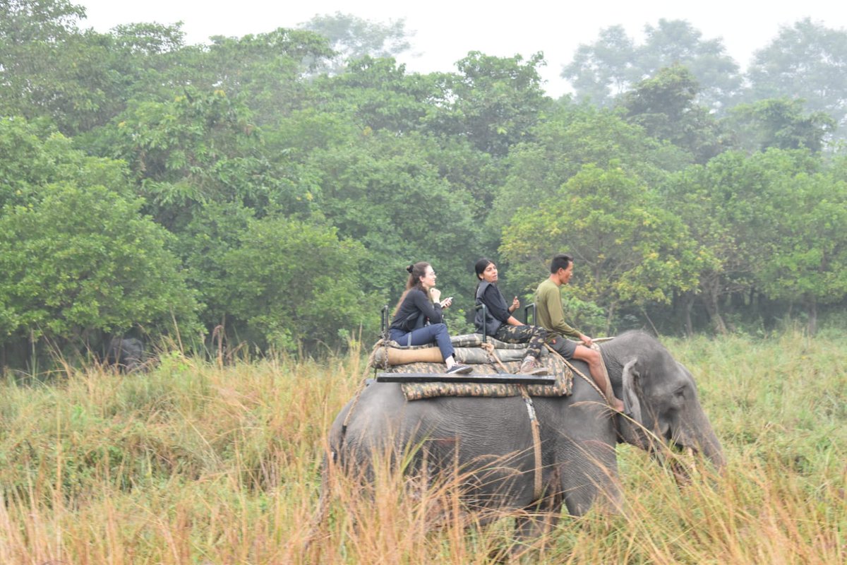 ApfbcA's tweet image. #Indopacific biodiversity partnership  - exposure visit commenced at #Pobitora. The ONFI team understands the aspect of grassland management and its importance, culture, tradition, the management of the parks and Rhino vision #sharingbestpractices #biodiversityconservation