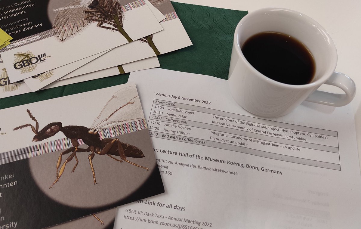 Annual Meeting. #gbol2022. 
Last day, last morning, last talks. Looking forward to know more about the status quo in the #Hymenoptera projects of the #PhDcandidates
#darktaxa #parasitoidWasps