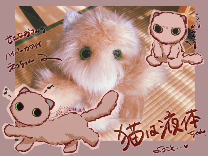 せこなお様( )の猫は液体ちゃんをお迎えしました おしりとしっぽの重さが本当に愛おしい…これからよろしくね#mokemono 