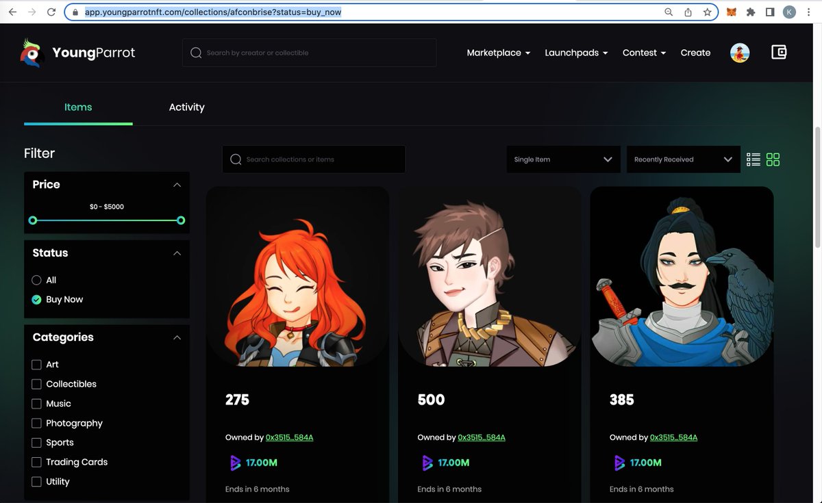 YoungParrot tweet media