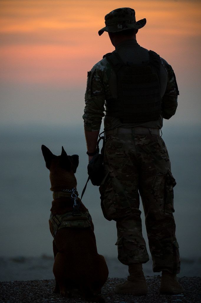 armylstenbourg's tweet photo. Il n'y a pas que nos hommes et nos femmes qui sont des héros nos chiens en sont aussi https://t.co/E6wwtuXHoQ