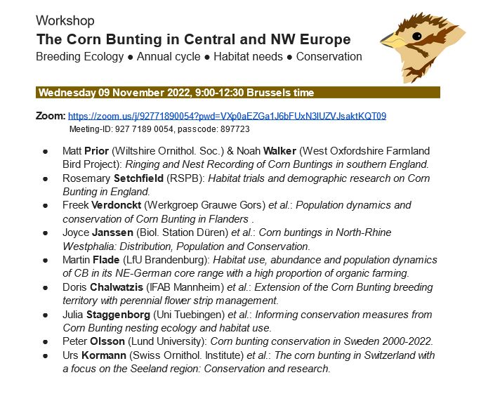 Nils Anthes (@anthesnils) on Twitter photo Corn Bunting ecology and conservation in NW Europe: Looking forward to wordshop Day 1 today with many stimulating inputs. Goal: more collaboration & exchange.
> Short-notice attendance welcome: tinyurl.com/mpcr8mr2.
with @FVerdonckt <a href="/VzwVeldwerk/">vzwVeldwerk</a> <a href="/EvoEcoTuebingen/">Evolution & Ecology Tübingen</a> Corn Bunting ecology and conservation in NW Europe: Looking forward to wordshop Day 1 today with many stimulating inputs. Goal: more collaboration & exchange.
> Short-notice attendance welcome: tinyurl.com/mpcr8mr2.
with @FVerdonckt <a href="/VzwVeldwerk/">vzwVeldwerk</a> <a href="/EvoEcoTuebingen/">Evolution & Ecology Tübingen</a>