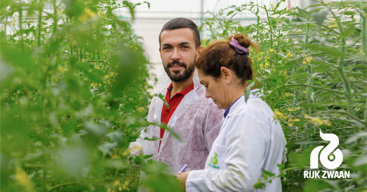 NEWS – “Rijk Zwaan invested €160 million into R&amp;D in 2021/2022 aimed at developing new vegetable varieties that add value for growers, chain partners and consumers", says Ben Tax ➡️ bit.ly/3UKQAs9 
#sharingahealthyfuture