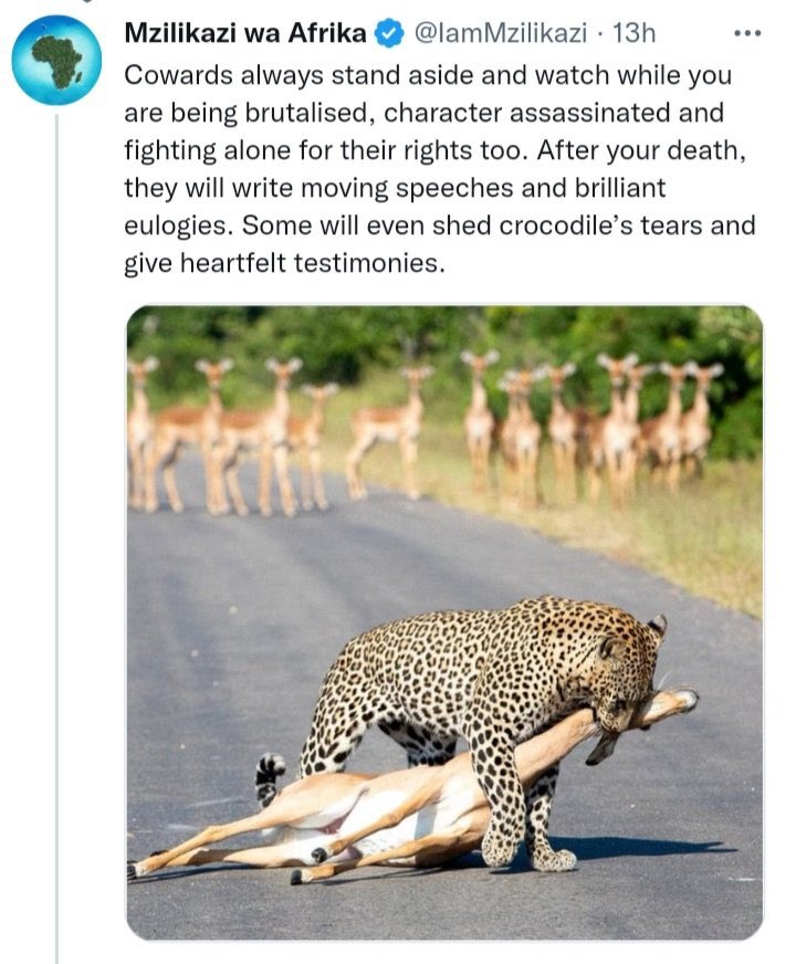 FabAcademic's tweet photo. https://t.co/YsLdnealmZ