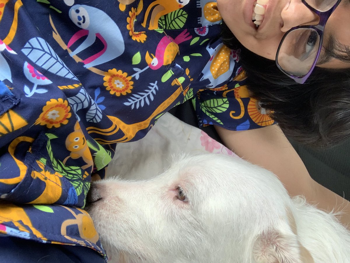 dailybimbo's tweet photo. haven’t posted in a while, here’s the little man https://t.co/2iGJhFug0t