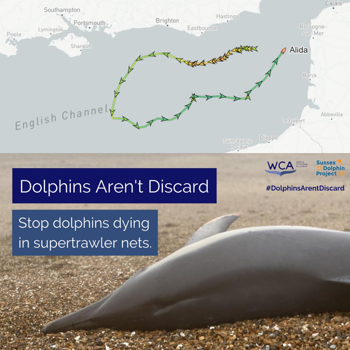 WorldCetacean's tweet photo. The Alida has been operating off #Sussex in the last 24hrs, marking the return of #supertrawlers to the English Channel.

Please report signs of #bycatch to @BDP_WCA and join our #DolphinsArentDiscard campaign to stop #dolphins dying in supertrawler nets:

https://t.co/NdMdCtzdLn https://t.co/hiE2qYaNwH
