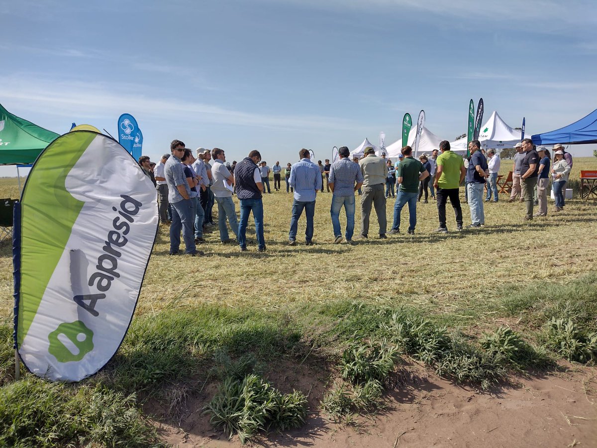 AlltecBIO's tweet photo. GRAN jornada de actualización e intercambio técnico a campo con @AapresidAmerica | Bs. As.
Un excelente espacio donde intercambiamos ideas sobre genética, bioestimulantes, estrategias de nutrición en trigo y más.
#AlltecBIO #nutricionvegetal #cultivodetrigo #regionalaapresid https://t.co/KiwyI2LCPk