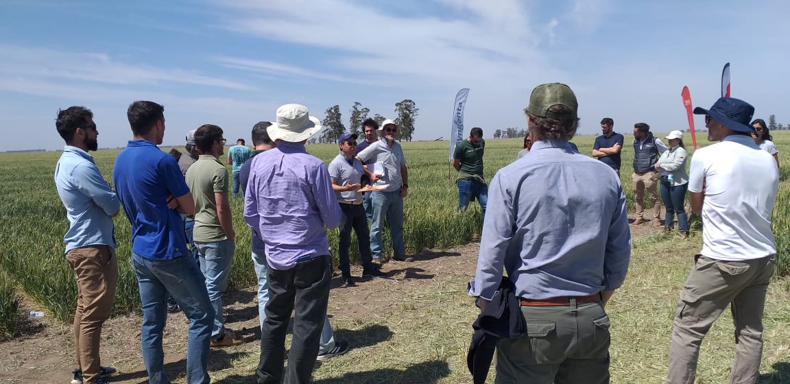 AlltecBIO's tweet photo. GRAN jornada de actualización e intercambio técnico a campo con @AapresidAmerica | Bs. As.
Un excelente espacio donde intercambiamos ideas sobre genética, bioestimulantes, estrategias de nutrición en trigo y más.
#AlltecBIO #nutricionvegetal #cultivodetrigo #regionalaapresid https://t.co/KiwyI2LCPk