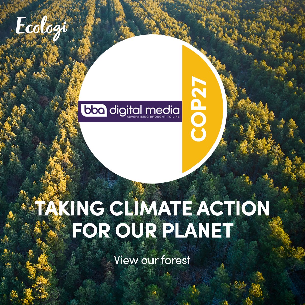 🌲 Taking climate action for our planet! Since 2020 we’ve funded the planting of just under 5,000 trees across the world. Paving the way for a sustainable future <a href="/Ecologi_hq/">Ecologi 🌍</a> #DOOH #Cop27