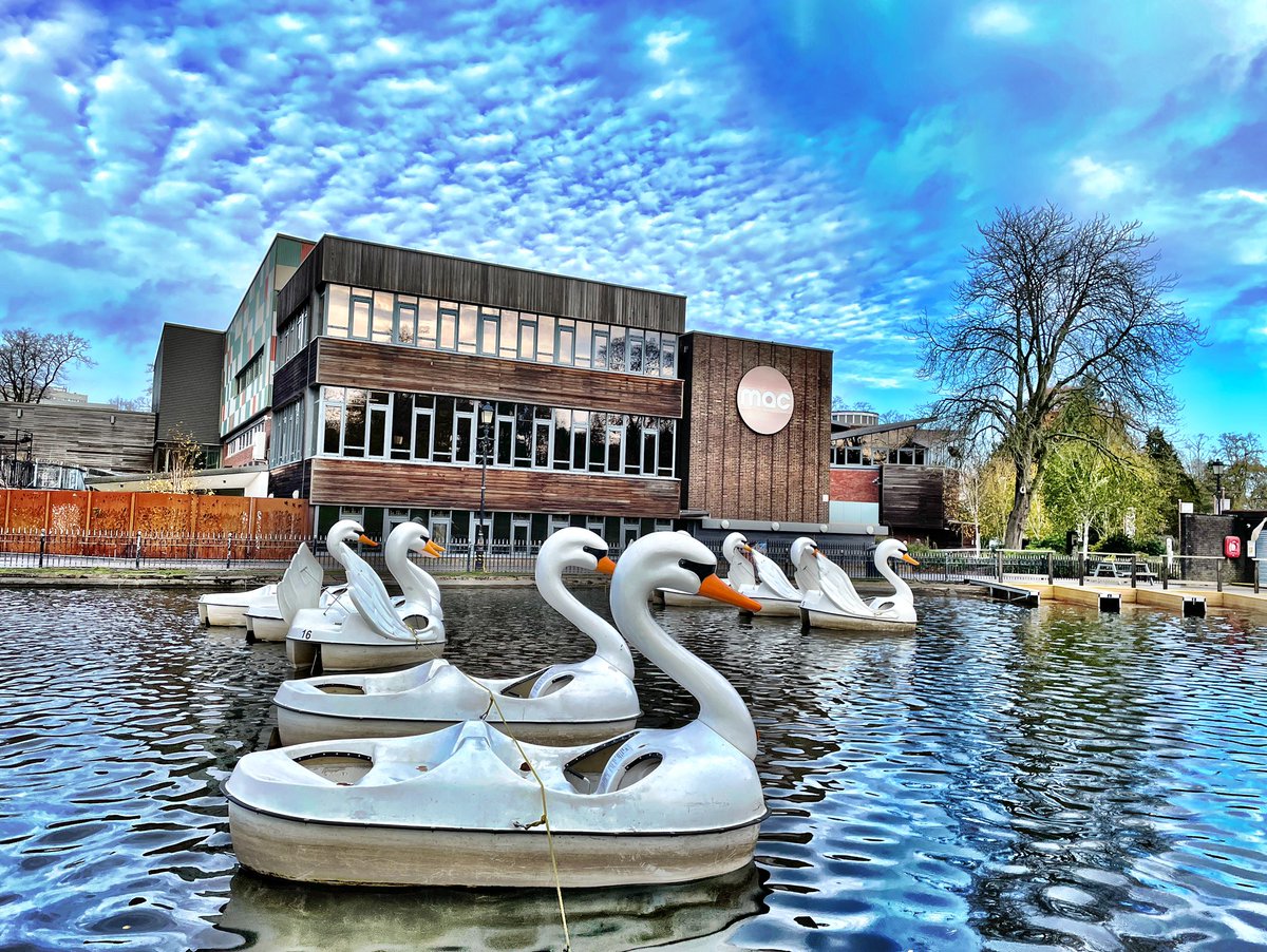 solihullswans's tweet photo. #Swans 🦢🦢🦢 https://t.co/LC7cxc413Q