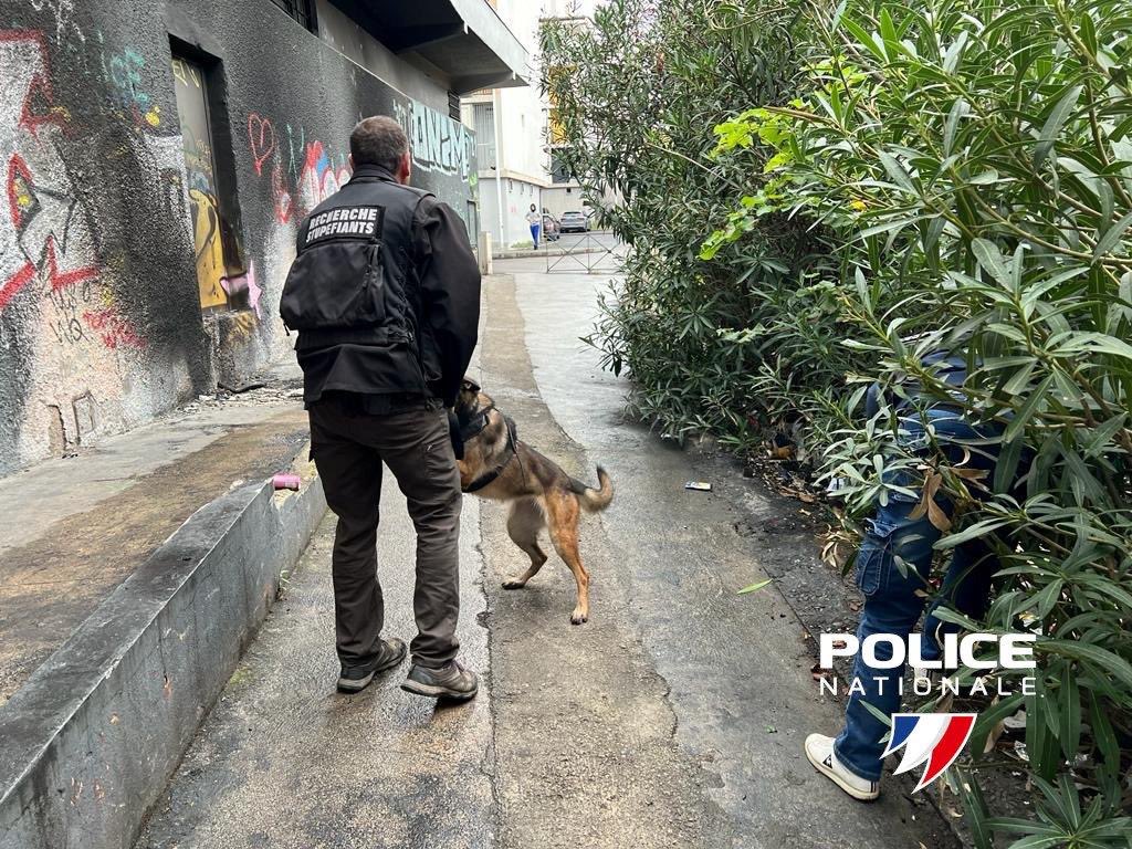 Prefet34's tweet image. 👏🏻@Prefet34 félicite @PoliceNat34 déterminée dans la lutte contre la drogue &amp;amp;la délinquance

👮‍♀️Lutte c/ les points de deal👉8/11 opération #quartier Cité Gély #Montpellier -BAC,brigade canine,#CRS4⤵️
Interpellations&amp;amp;saisies
▪️Cocaïne,résine&amp;amp; herbe de cannabis
▪️Arme CatB
▪️Argent