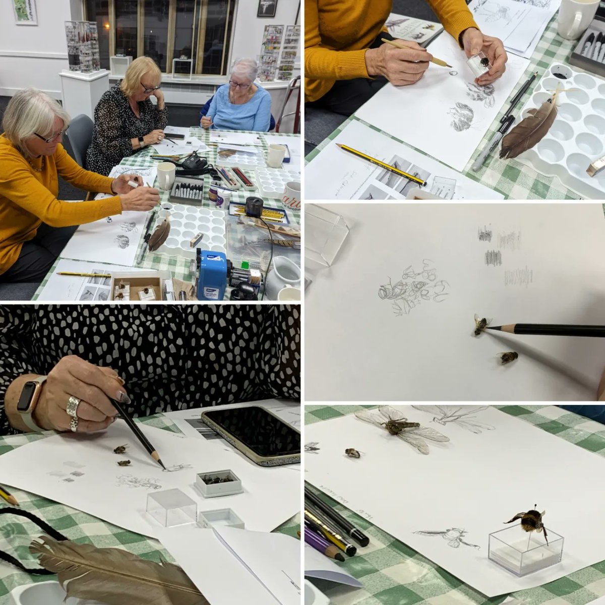 Louisa_Crispin's tweet photo. In great company yesterday drawing insects at @ACEartsSomerset - 2 hours was just not long enough!
Thank you ladies for your enthusiastic attention
#drawinginsects #drawingnature #workshop #artforchange #aceartssomerton #beethechange #bees #dragonfly
@The_Big_Draw https://t.co/x0JUVDBGHj