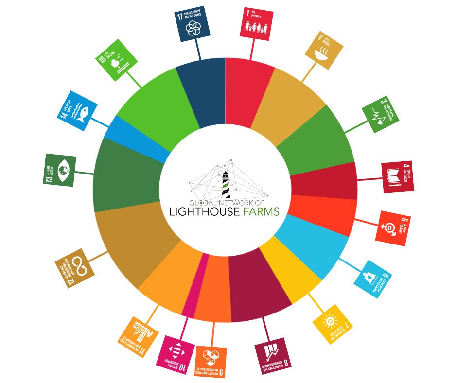 Global Network of Lighthouse Farms tweet media