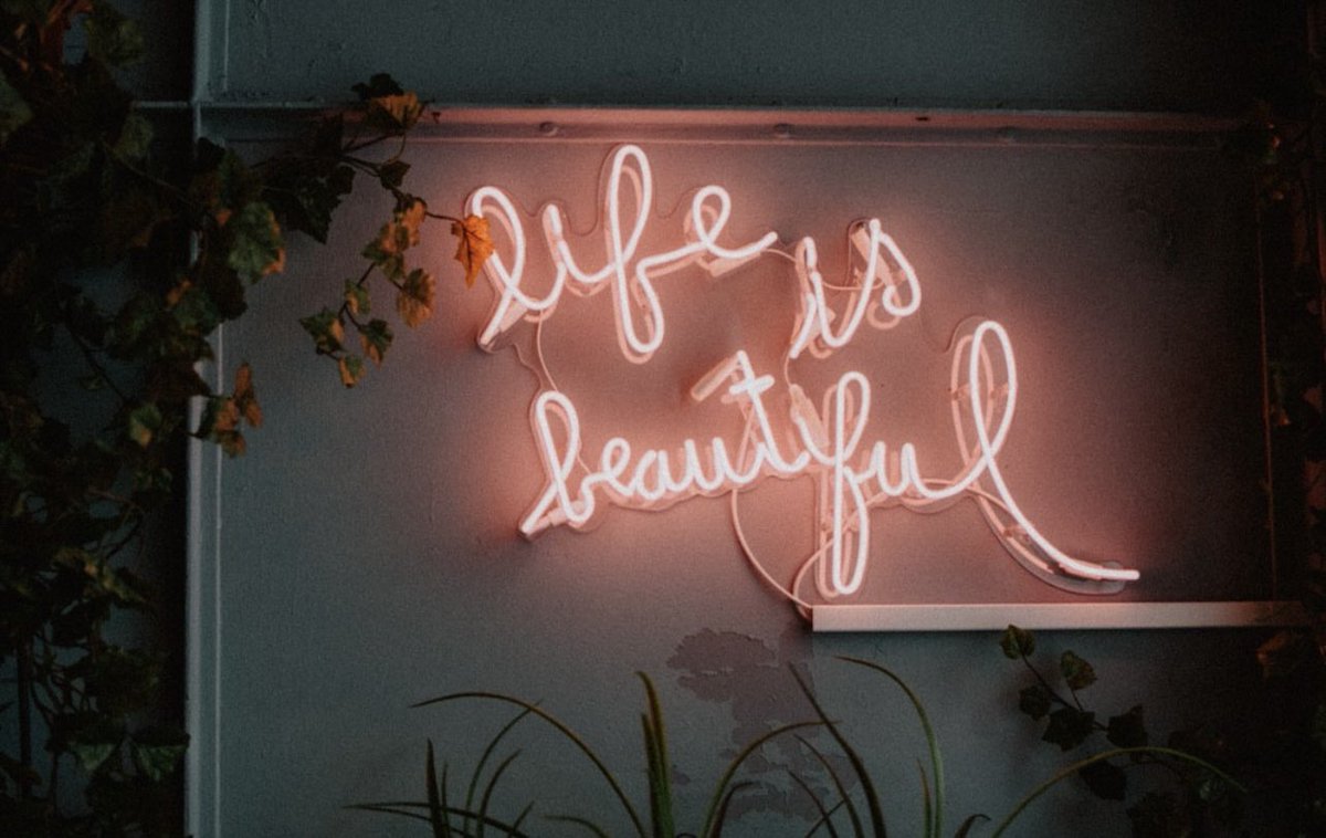 Life is beautiful. 

❤️🫶❤️🫶

#studentwellbeing #leavingcert2023 #juniorcert2023 #mentalhealthawareness #parenting #education #brainbox #wellbeing #schoollife #examwellbeing