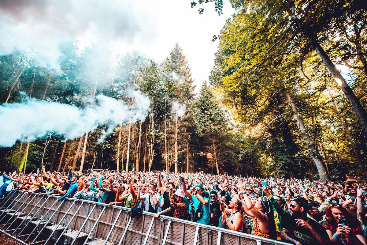 Forbidden Forest tweet media