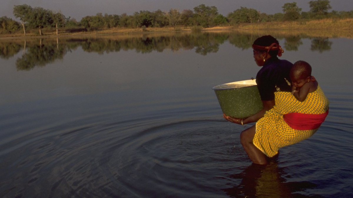 Adam Rogers tweet media