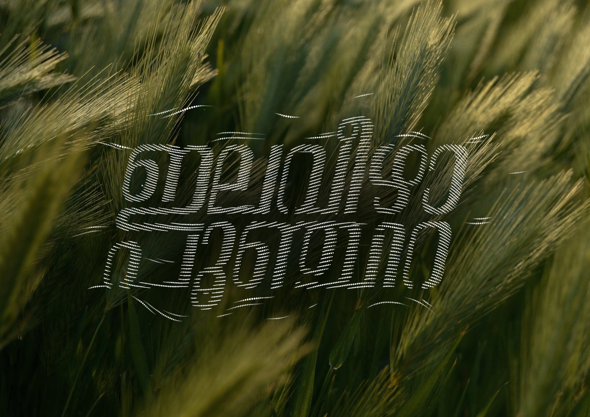 EKuriyan's tweet photo. REJECTED TITLE DESIGN | ELA VEEZHA POONCHIRA
.
.
.
.
.
#filmtitles #lettering #malayalam #malayalammovie #Malayalam #Typography #movietitle #PosterDesign #posters #titledesign #typography #eldhosekuriyan https://t.co/nwdYzDnTUD