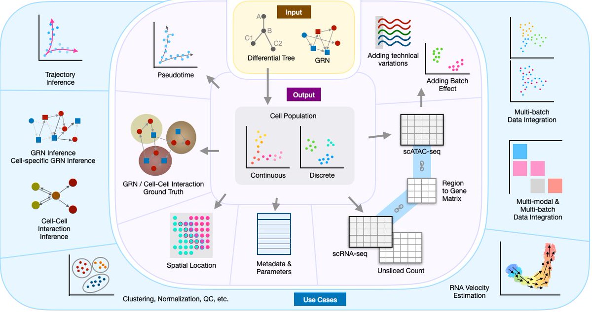 XiuweiZhang's tweet image. Proud to share scMultiSim, a simulator of single cell multi-omics data guided by gene regulatory networks and cell-cell interactions. With ground-truth cell identity, GRN and CCIs, this tool can be used to benchmark multi-omics integration methods, GRN and CCI inference methods.