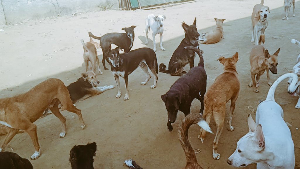 TheDogMother_'s tweet photo. #Peace cannot be kept by force, it can only be kept by understanding ๐พ๐พ
Coexist, Respect, Follow The Law ๐
Not For Ourselves Alone ๐
#AllLivesMatter #HumanityMatters https://t.co/EwO0MEfDsC
