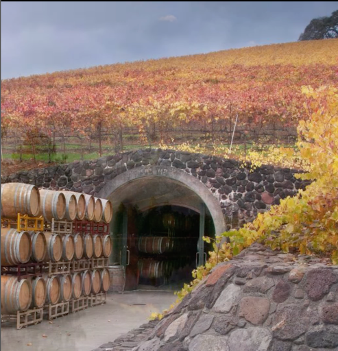 thevibeagency's tweet photo. Crisp, cool weather and brightly colored foliage make fall the perfect time to travel. Didn’t get the chance to travel last summer? Here's our top fall destinations:

🍂Jackson Hole

🍁The Berkshires

🍂Sonoma

🍁Flagstaff

🍂Telluride

#TravelTips #FallDestinations #VIBEagency https://t.co/3IsmJzAOC9