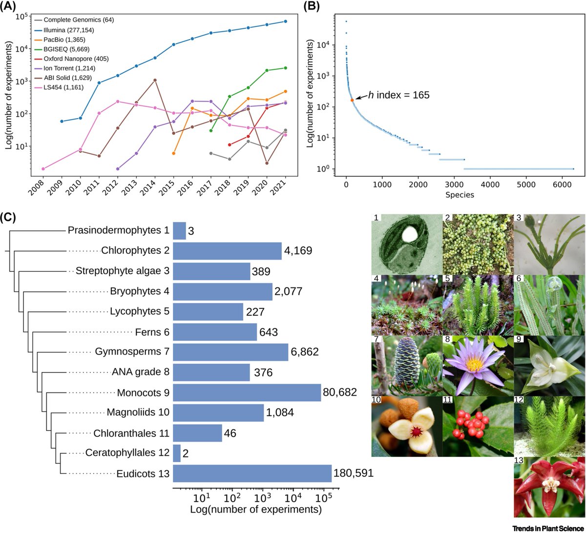 IreneJulca's tweet image. Our review "Toward kingdom-wide analyses of gene expression" is out: doi.org/10.1016/j.tpla…
Thanks to @tqiaowen @LabMutwil