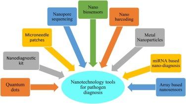 Read #OpenAccess in #PlantNanoBiology: Nanotechnology for the Detection of Plant Pathogens spkl.io/60184XKYM