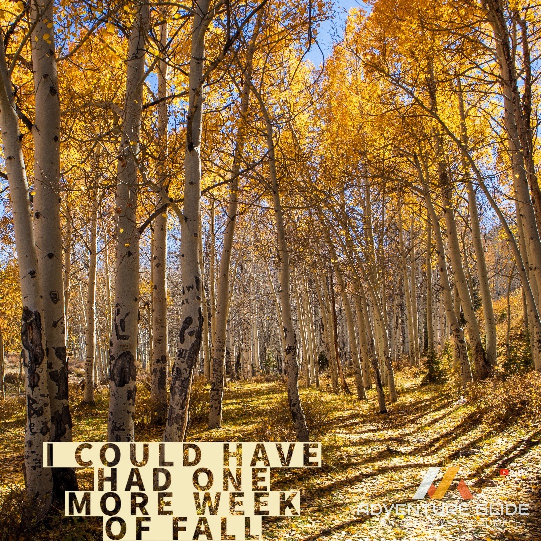 adventure_glide's tweet photo. Success Loop Ely, Nv. One more week of Fall!

#motocamping
#canyon
#moto
#ride
#rideordie
#lamoille
#lamoillecanyon
#adventure
#bmwgsfans
#motorcycle
#motorcycleride
#advrider
#adventureglide
#supportmvc
#bdr
#nvbdr
#dualsportadv 
#ridemore 
#upshift_online https://t.co/tEZrqPWdci