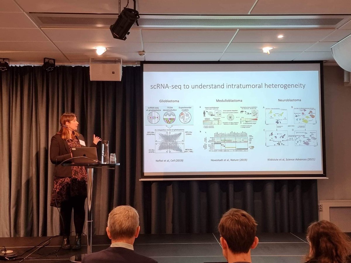 Great presentation from Ida at the 13th NBCNS meeting in Gothenberg! Ida talked about her useful algorithm, the Single Cell Target Translator, which can be a tool in finding candidate regulatory genes essential in brain cancer development.