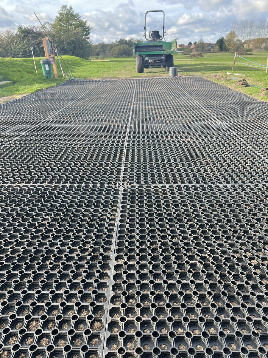 Diss Greens tweet media