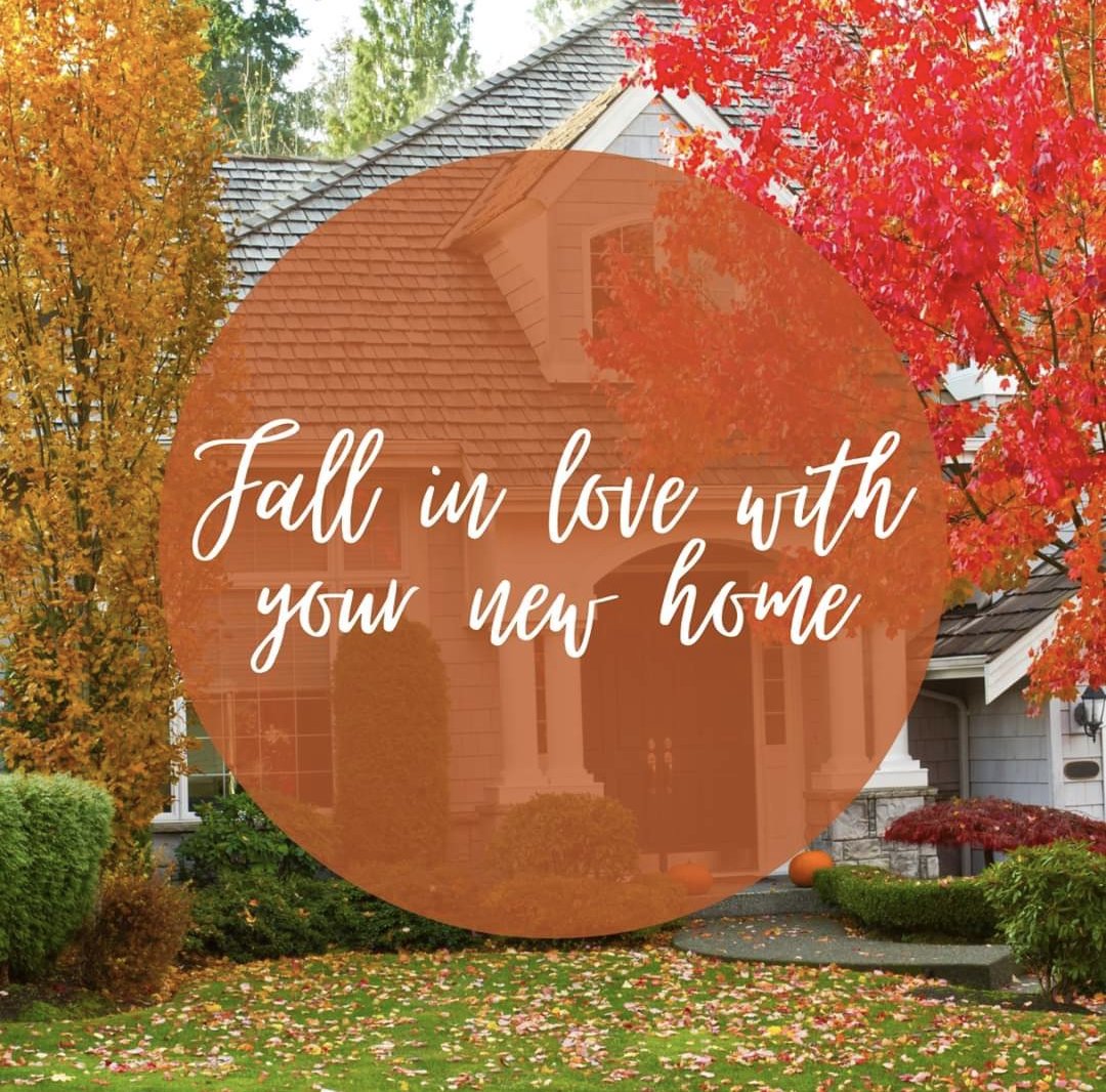 mariedavishomes's tweet photo. 🍁If you’ve been on the fence about buying a home this fall, I would love to answer any questions you have.
#fallrealestate #fallhome #RealEstateMarket #SellingHomes #SellYourHome #HireARealtor #NeedARealtor #HomeEnvy #Realestateboss #Realestateagent #Century21RealtyPartners https://t.co/ti1q0JYjJL