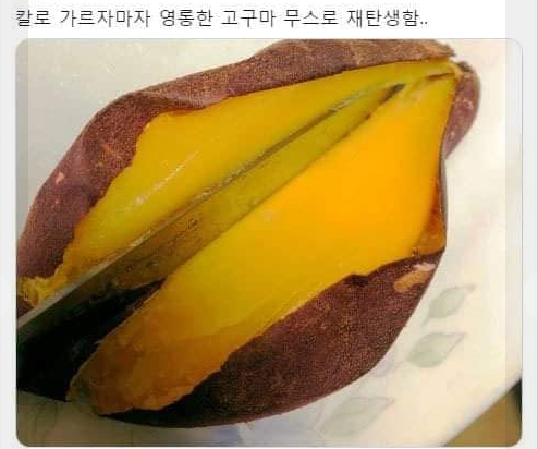 ccxxnks1's tweet photo. 트이타 선조님들이 일전에 알려주셨던 
고구마 레시피 두가지...진짜 진짜 그렇게 맛있답니다.. https://t.co/f8tKhqAOwa