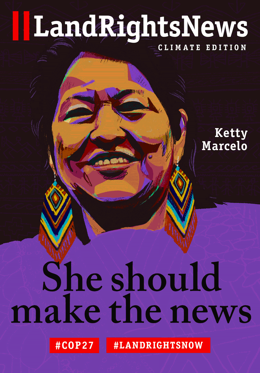 Indigenous women live on the front lines of climate change. They are also leaders in the climate movement.

This is why we're joining @landrightsnow's campaign #SheShouldMaketheNews, to tell the stories of indigenous women advancing #climatejustice.

#COP27