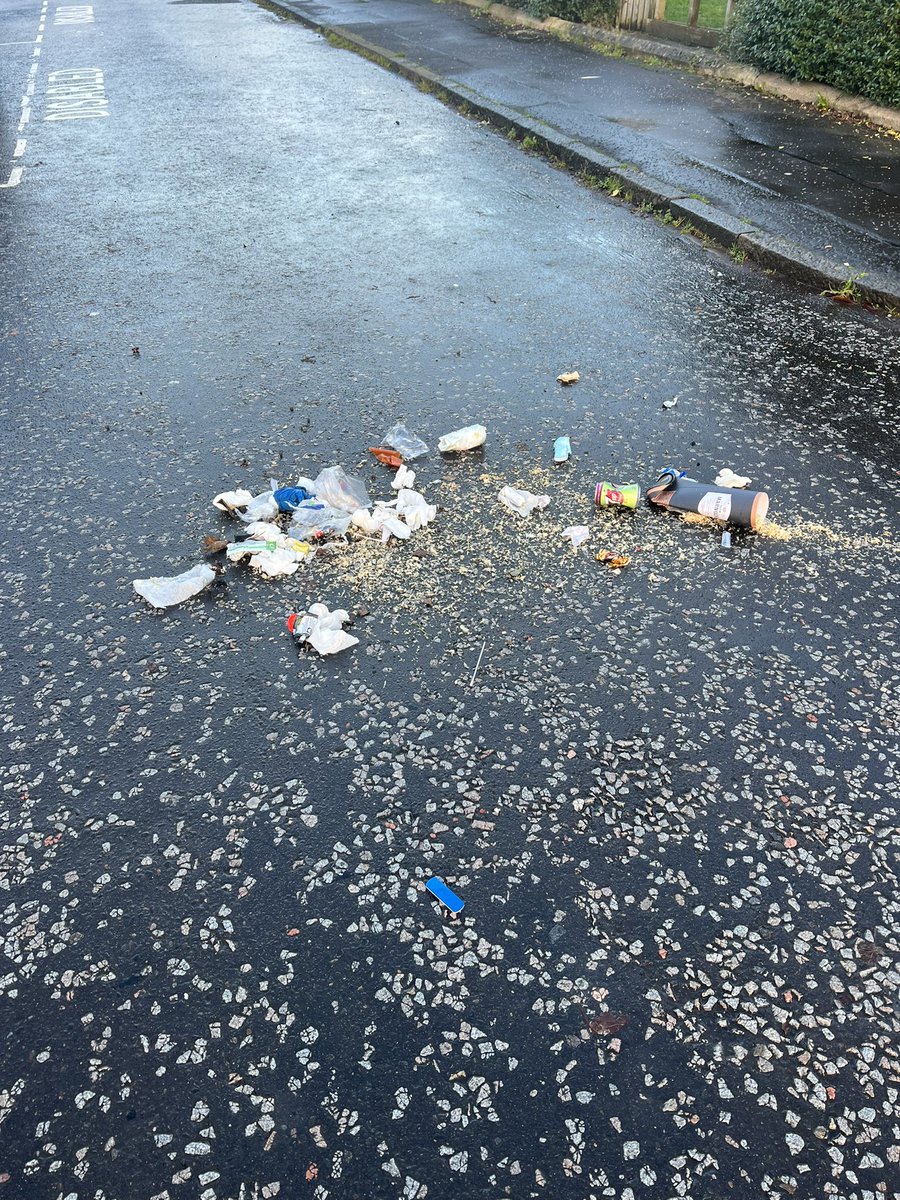 Lovely work this morning @renfrewshirecouncil #binday
