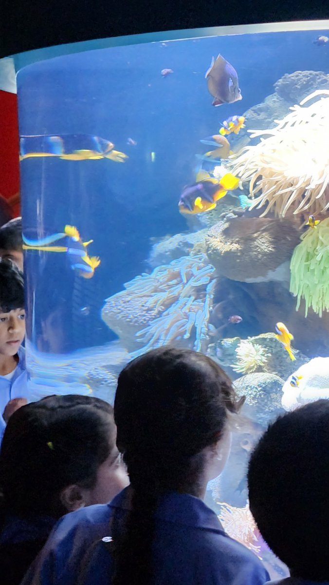 AIS_Grade4's tweet photo. Grade 4 Excursion to Sharjah Aquarium and Maritime Museum. #AISGrade4 #AISExcursion #AISPrimarySch https://t.co/RMQBrBkfoL