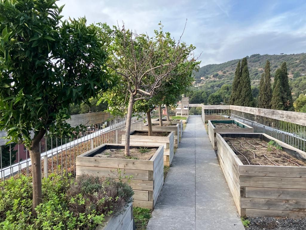 It is great to see the eco-garden prepared for the winter months and the new herb boxes planted. Another beautiful start to the day at school.
linkedin.com/posts/amanda-h…

#oakhouseschool #buildingfutures
#ecoschool #school #greenschool