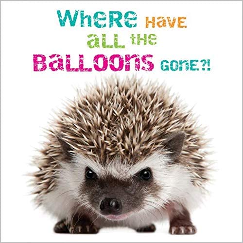 Happy Birthday <a href="/DaniTrussoni/">DANIELLE TRUSSONI</a>