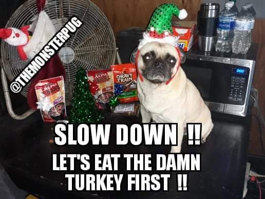 TheMonsterPug's tweet photo. https://t.co/CNKMga8CqK